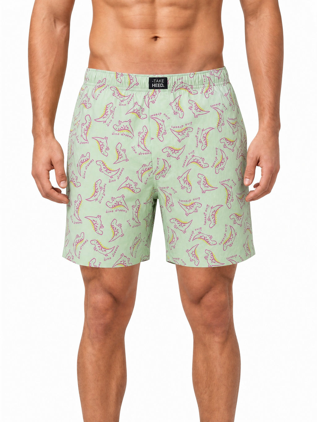 Dino Dreams Pale Green Printed Boxers