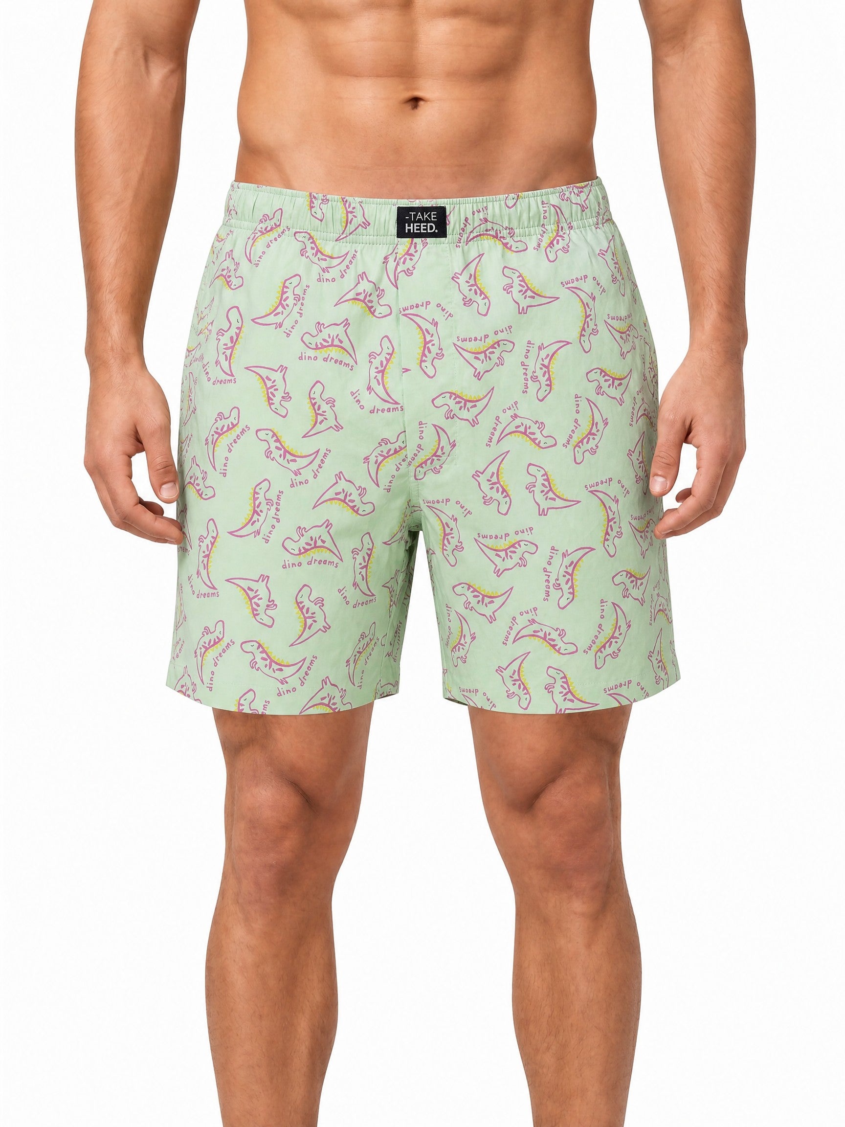 Dino Dreams Pale Green Printed Boxers