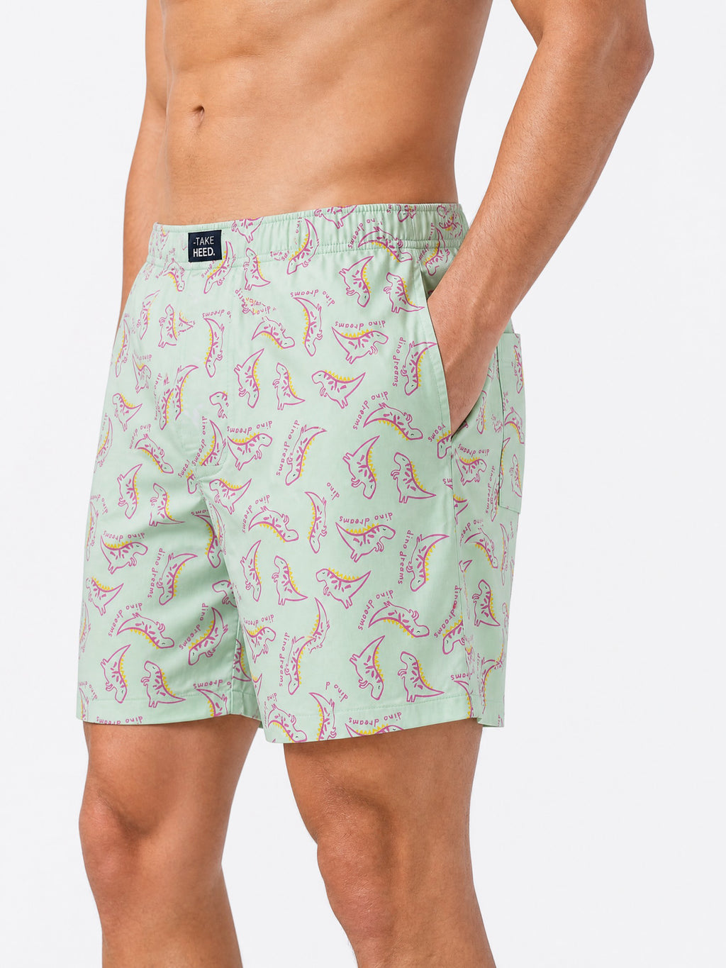 Dino Dreams Pale Green Printed Boxers