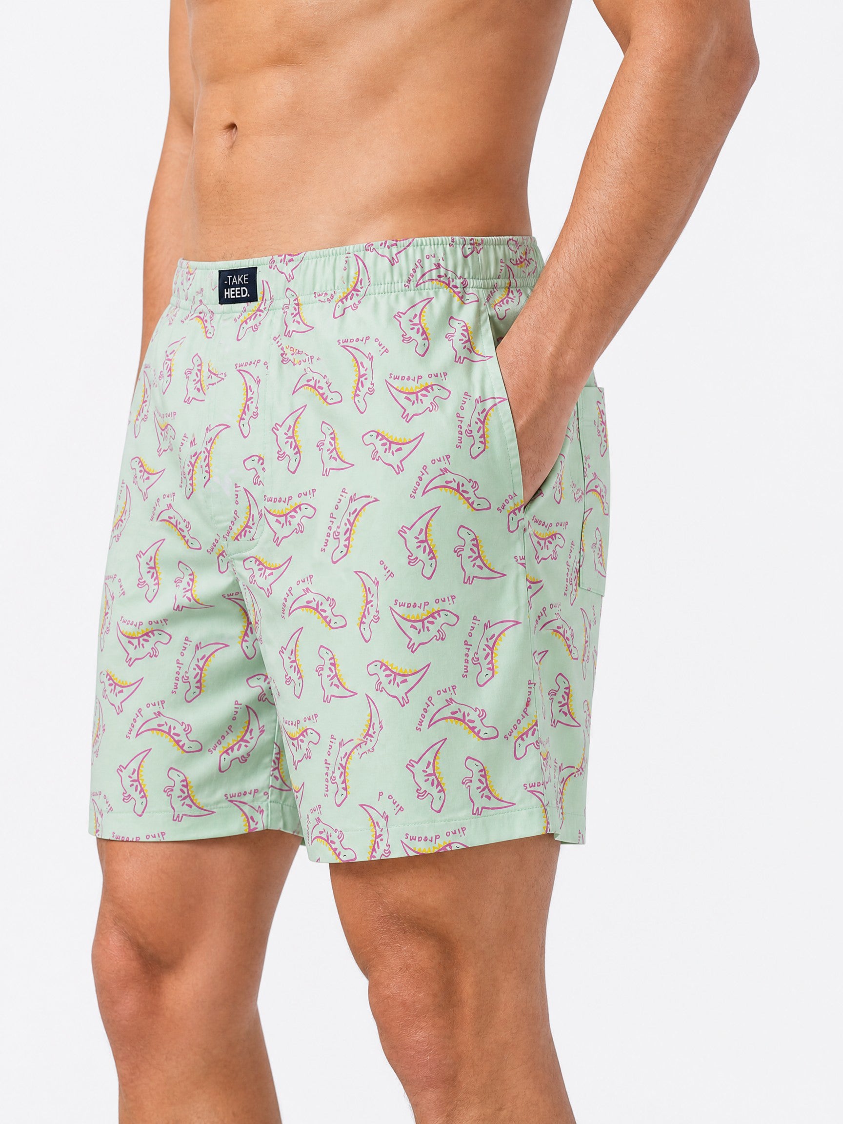 Dino Dreams Pale Green Printed Boxers